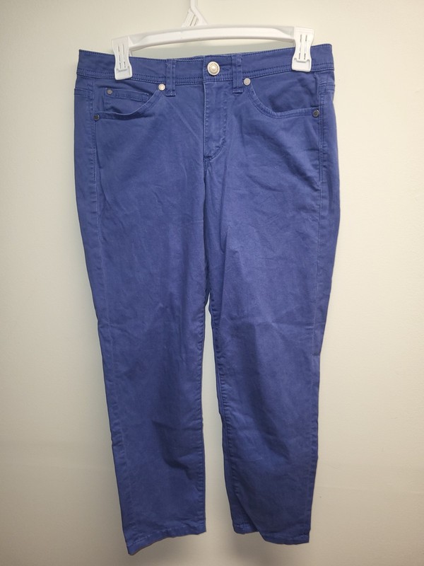 Calvin Klein Jeans Women Size 6 Blue Straight Leg Stretch Pants Casual Denim
