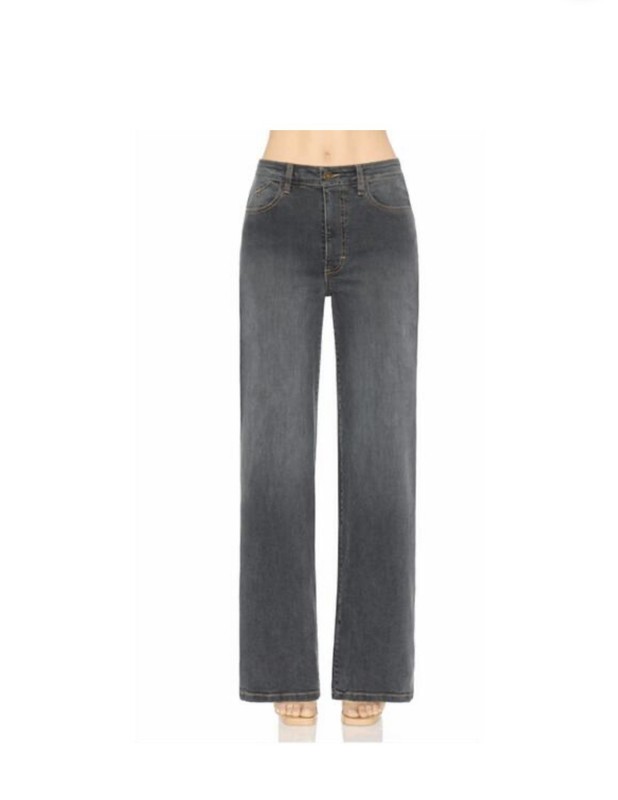 Morrison The Fly Girl Mid-Rise Wide Leg Jeans Size 27 Silver Spring