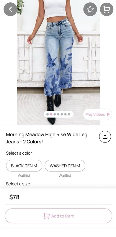 Easel jeans with bird design